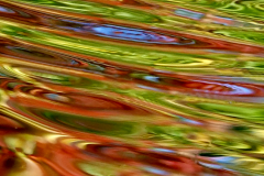 P1144434