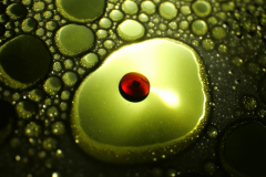 P1157678
